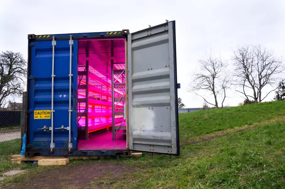 Shipping container on an open lot with grow lights and shelves inside for container farming.