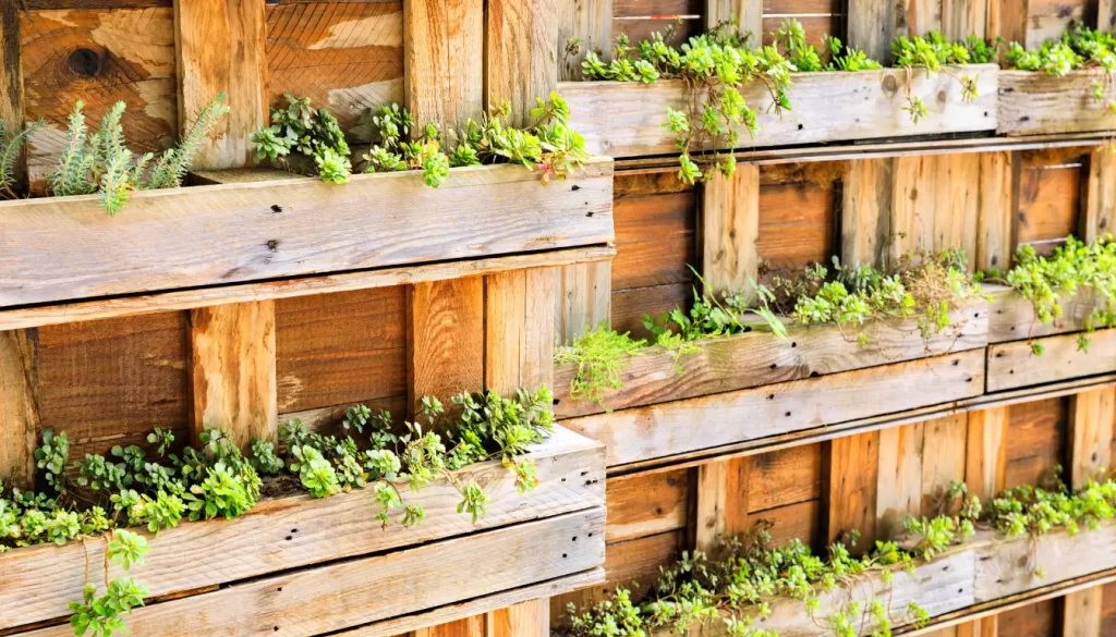 outdoor shelf planters on a wooden wall with green plants overflowing the edges