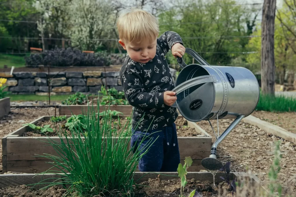 Small child roughtly 3 years-old watering an urban garden with a metal watering can