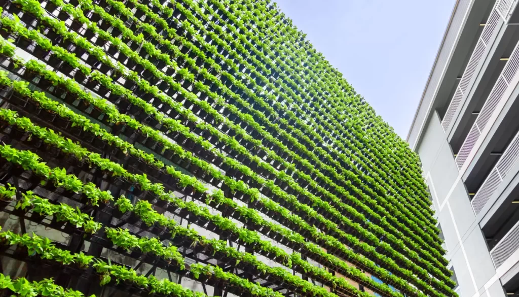 vertical urban garden with green leafy plants scaling the side of a building several stories tall